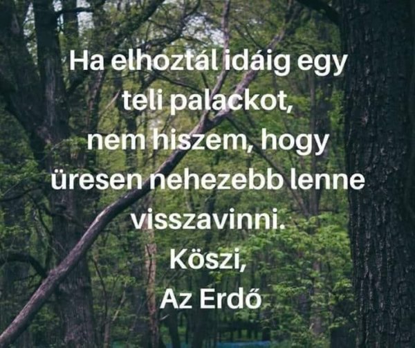 erdő üzenete